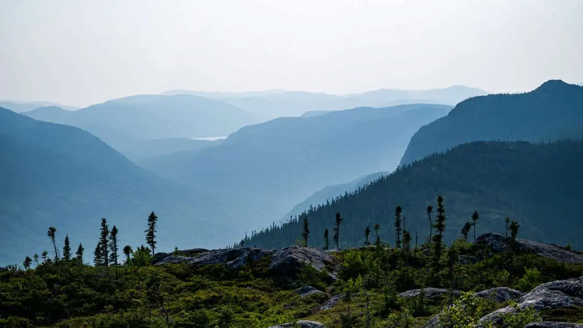 Mountainous area with dense forest, illustrating environments that can present challenges of high-risk homeowners insurance